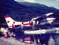 'Bald Eagles and Bears,' Kodiak Island, Alaska